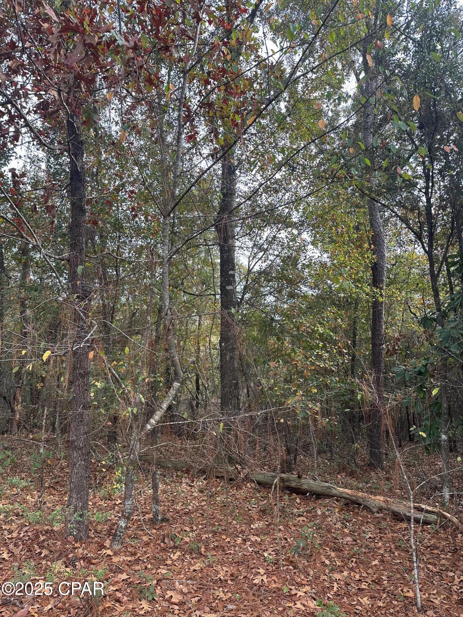 2194 Mohawk Trail Sneads, FL 32460 - Photo 10 of 11