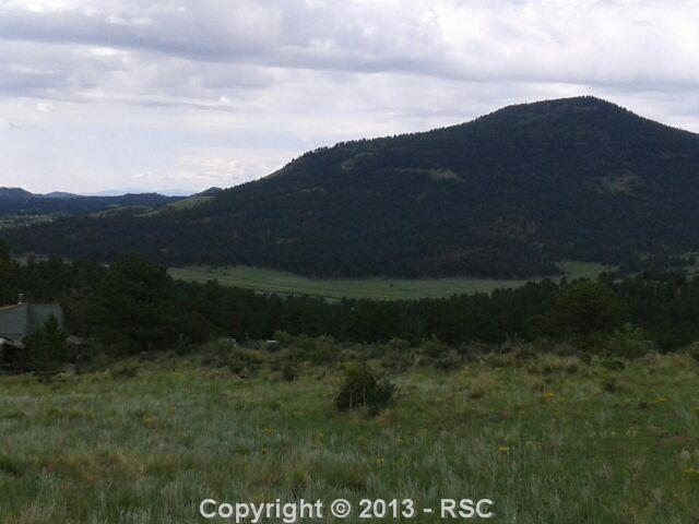Tbd Wagonwheel Road Guffey, CO 80820 - Photo 5 of 18 You can see the Cabin on left side of picture!!