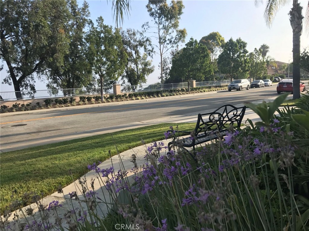 18536 Vantage Pointe Drive Rowland Heights, CA 91748 - Photo 3 of 34 a view of a yard
