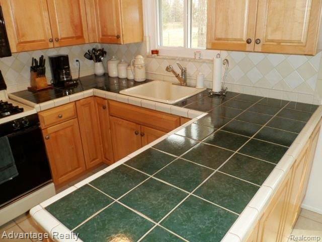 31670 Hayes Road Fraser, MI 48026 - Photo 10 of 21 SAM_2016.jpg