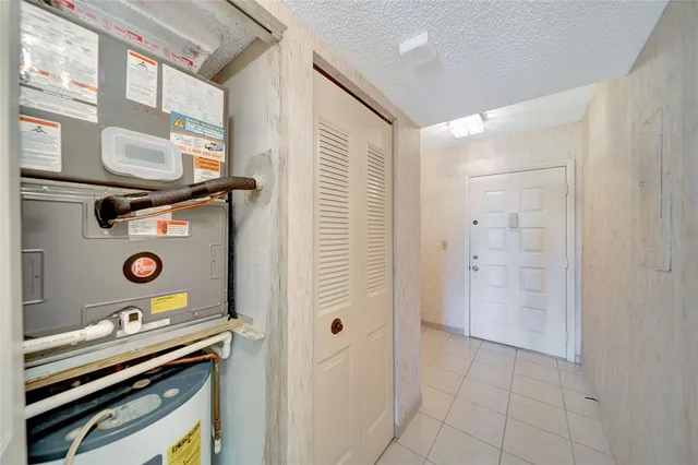 a view of a park with palm trees