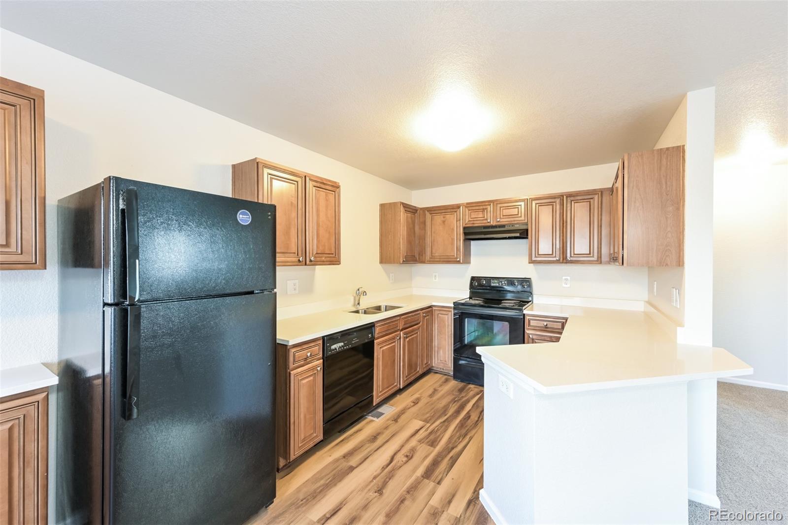 4428 Andes Way Denver, CO 80249 - Photo 5 of 17