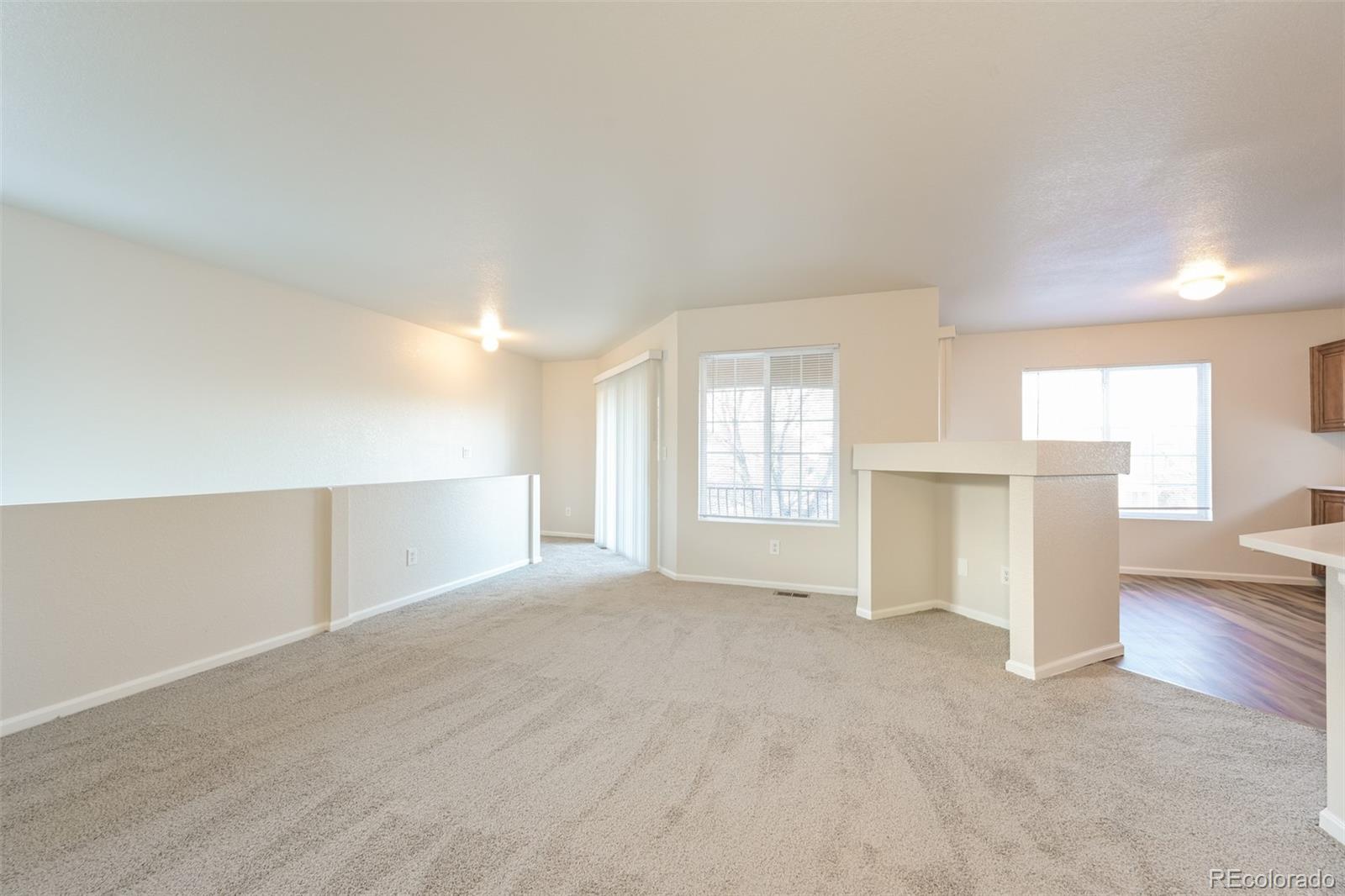 4428 Andes Way Denver, CO 80249 - Photo 6 of 17