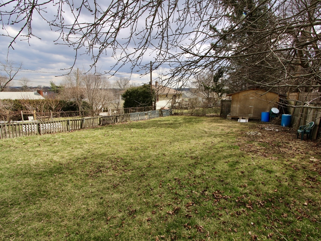 18 South Stowell Street Worcester, MA 01604 - Photo 16 of 16 a view of a yard with a tree