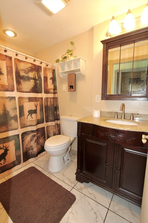 18 South Stowell Street Worcester, MA 01604 - Photo 8 of 16 a bathroom with a toilet sink and mirror