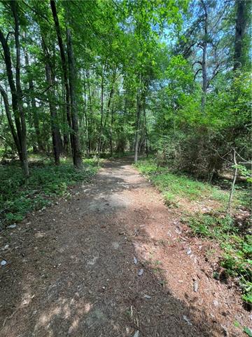 0 Tom Meyers Road Covington, LA 70435 - Photo 3 of 6 Gallery Image 3
