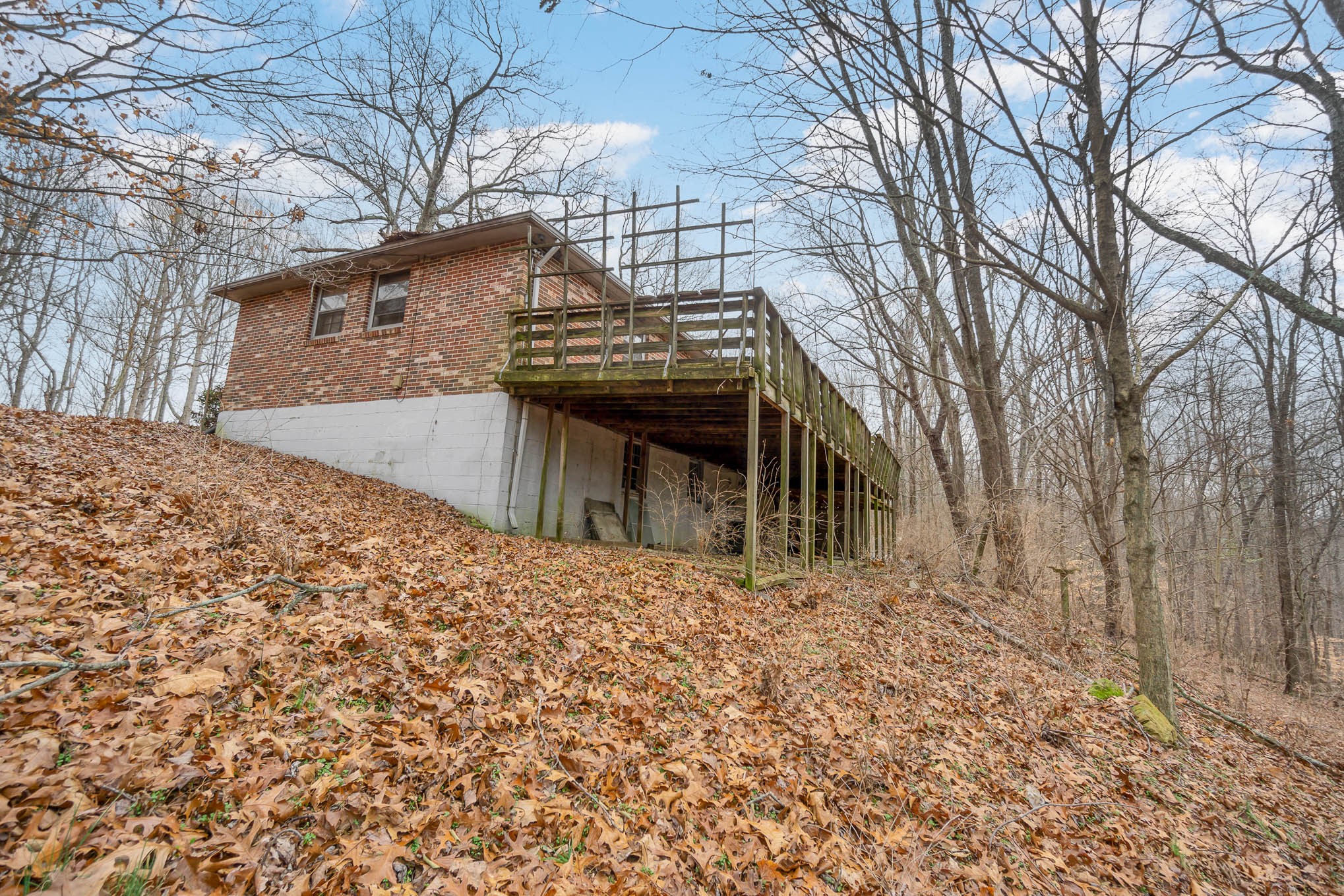 8552 Lewis Road Nashville, TN 37221 - Photo 16 of 19 Gallery Image 16
