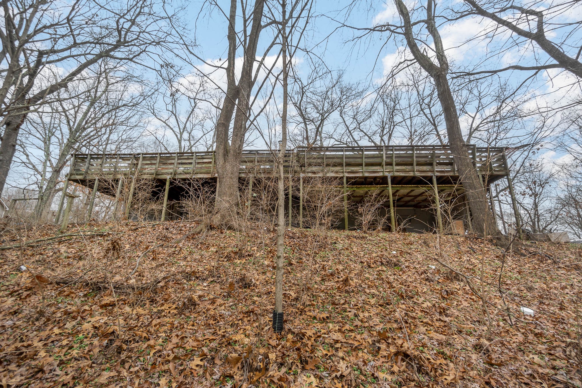 8552 Lewis Road Nashville, TN 37221 - Photo 18 of 19 Gallery Image 18
