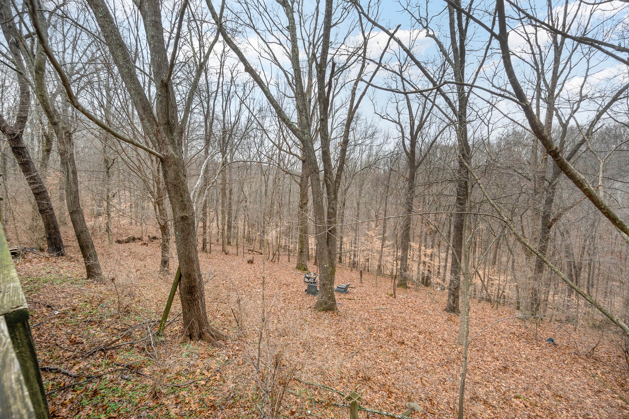 8552 Lewis Road Nashville, TN 37221 - Photo 19 of 19 Gallery Image 19