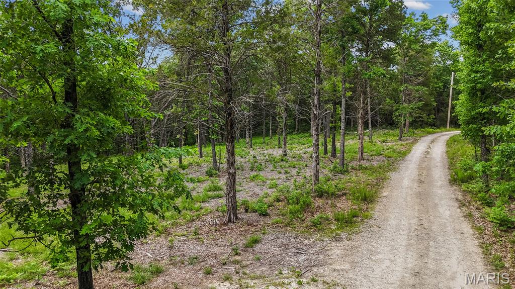 299 Whitetail Ridge Dittmer, MO 63023 - Photo 14 of 19