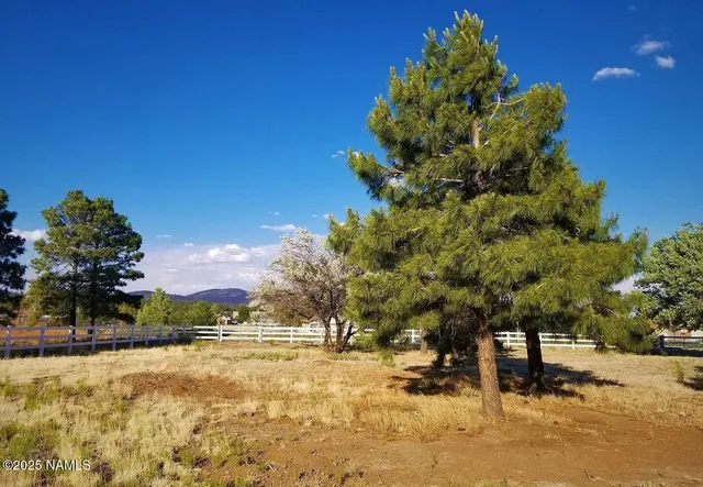 a view of a yard with a tree