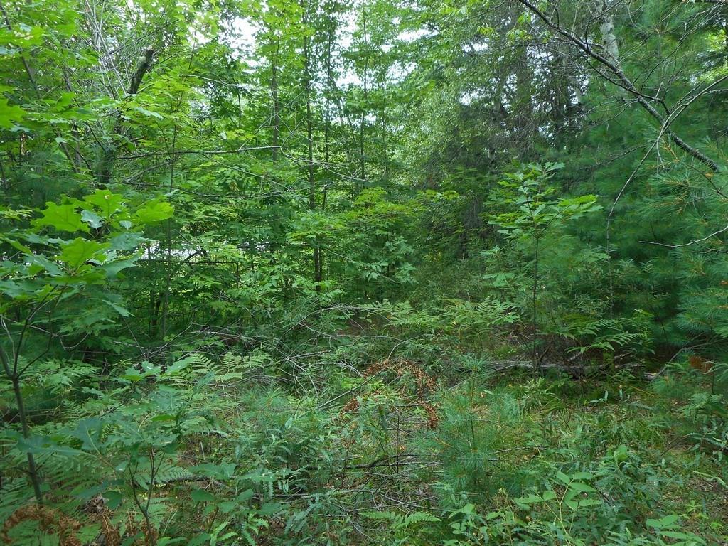 2 French Settlement Road Milford, ME 04461 - Photo 13 of 16 Photo