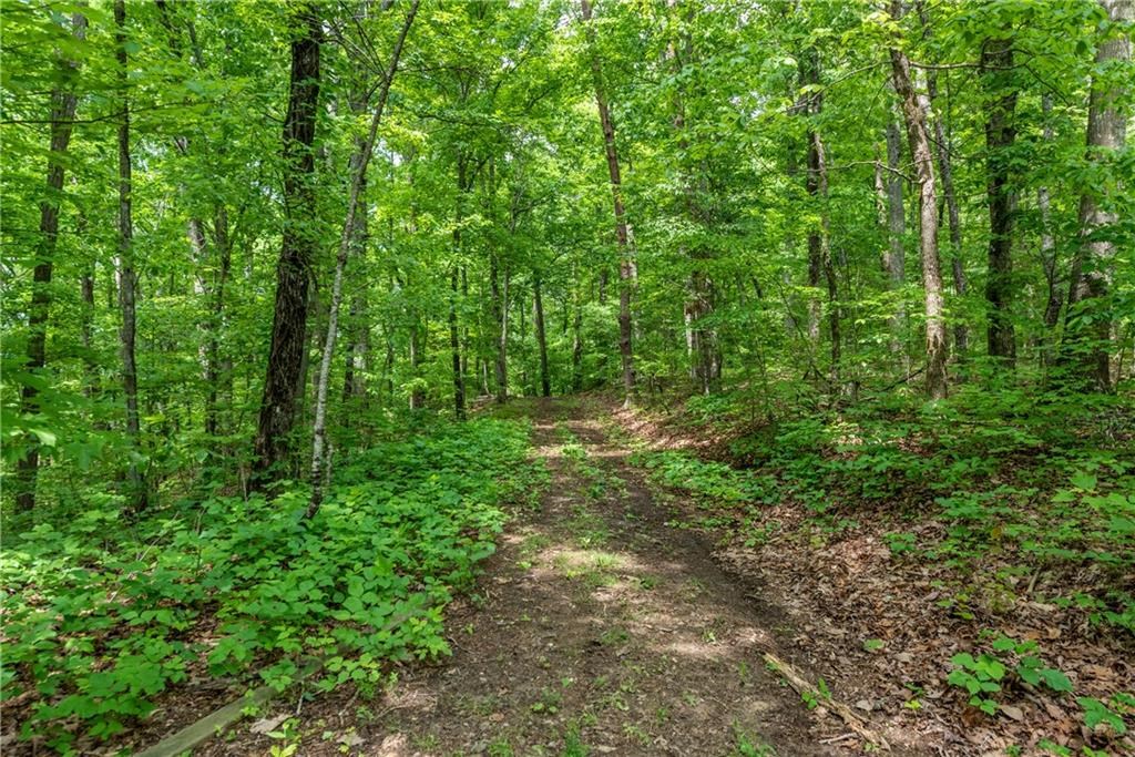 595 Bull Gap Road Talking Rock, GA 30175 - Photo 65 of 71 Gallery Image 65