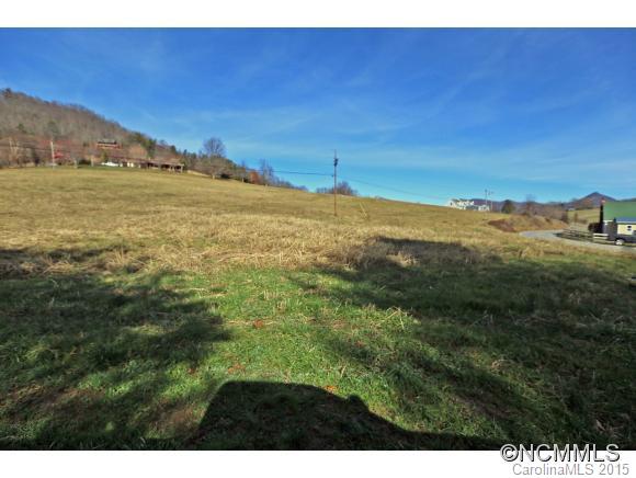 0 Yates Cove Road Waynesville, NC 28785 - Photo 3 of 6