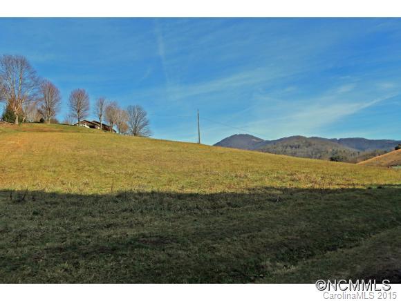 0 Yates Cove Road Waynesville, NC 28785 - Photo 4 of 6