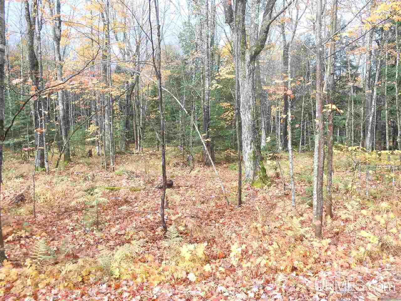 Tbd North Beatons Lake Road Bruce Crossing, MI 49912 - Photo 13 of 15