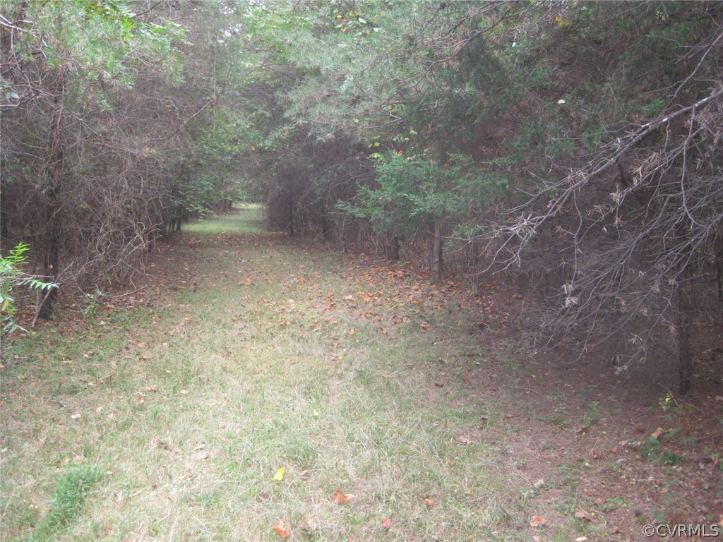 1549 Irby Road Lunenburg, VA 23952 - Photo 13 of 16 Gallery Image 13