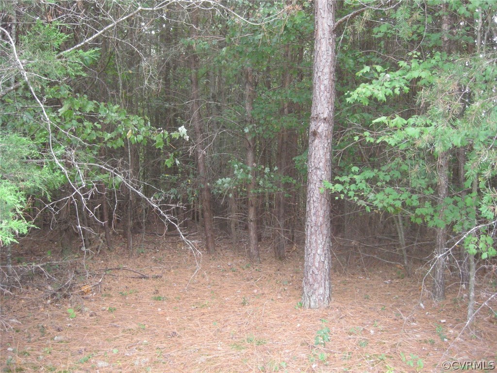 1549 Irby Road Lunenburg, VA 23952 - Photo 14 of 16 Gallery Image 14