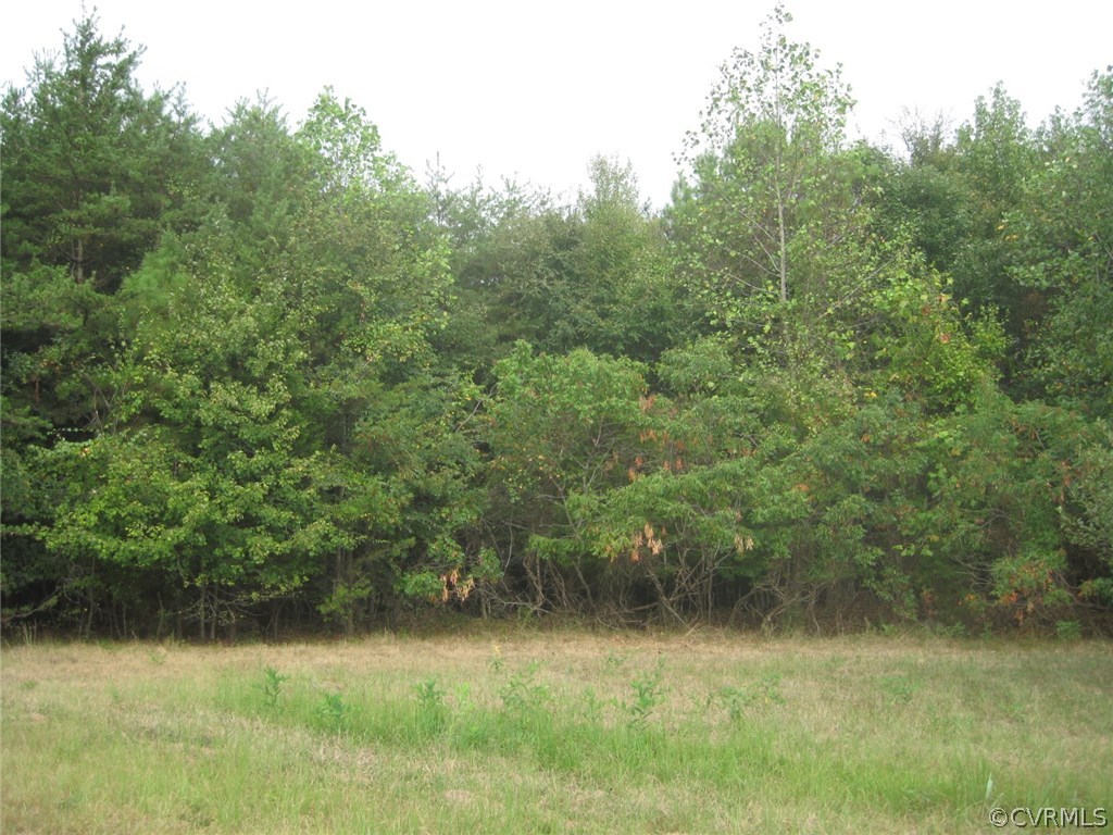 1549 Irby Road Lunenburg, VA 23952 - Photo 2 of 16 Gallery Image 2