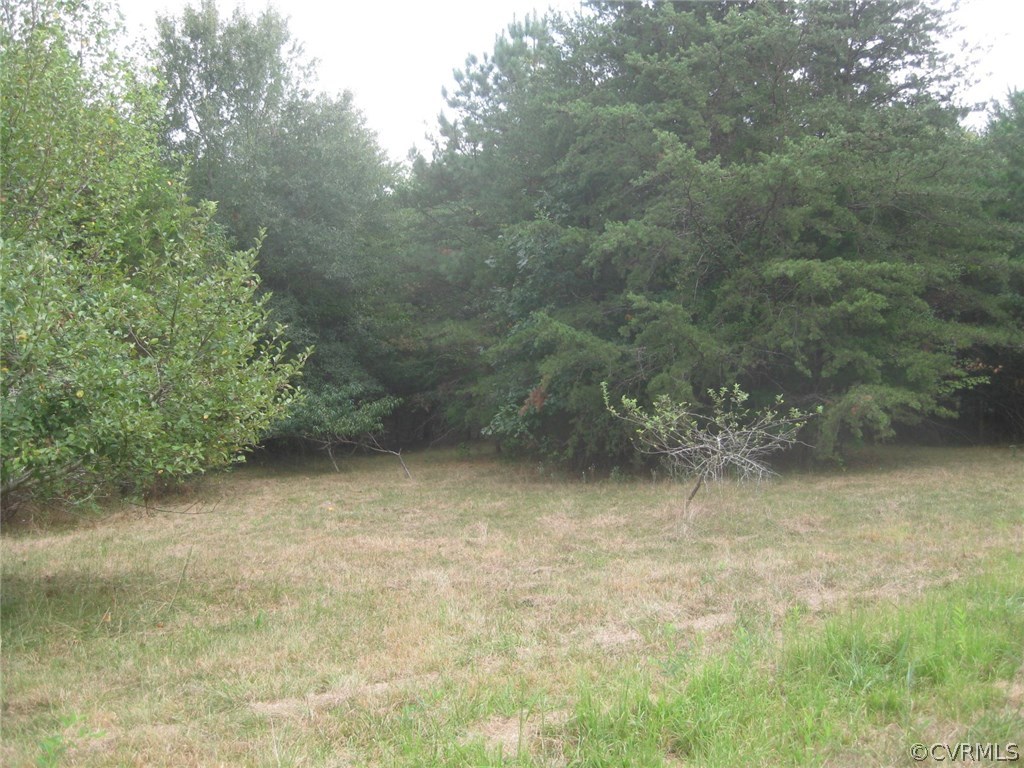 1549 Irby Road Lunenburg, VA 23952 - Photo 3 of 16 Gallery Image 3