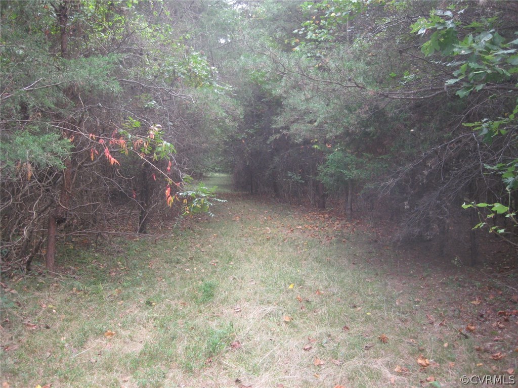 1549 Irby Road Lunenburg, VA 23952 - Photo 4 of 16 Gallery Image 4