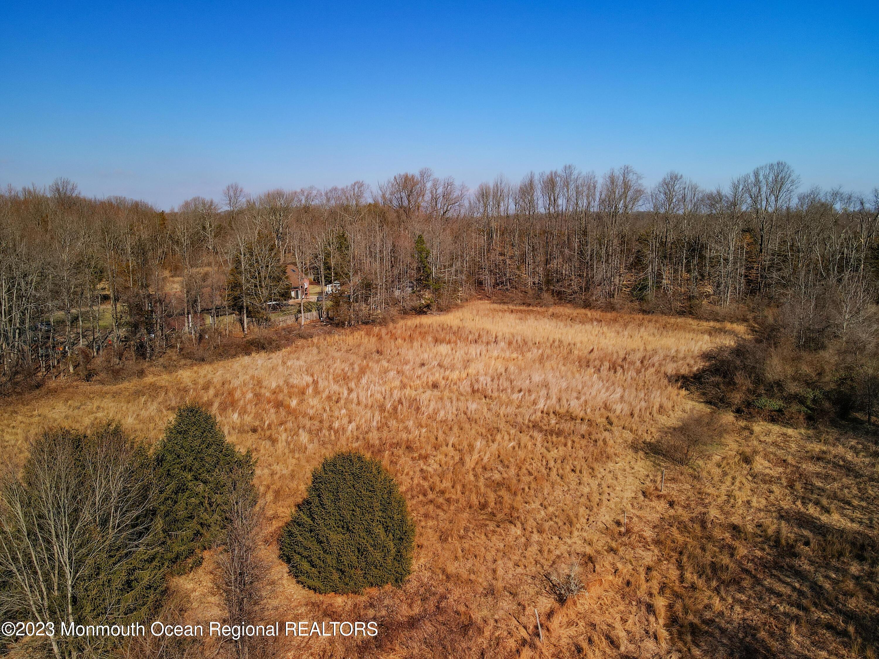 25 Meirs Road Cream Ridge, NJ 08514 - Photo 4 of 17 a view of a yard with mountain view