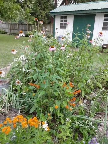 $129,900 | 1128 North Clay Street, Nevada, MO 64772