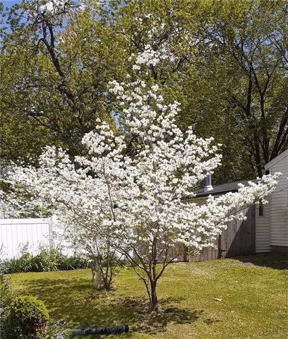 $129,900 | 1128 North Clay Street, Nevada, MO 64772