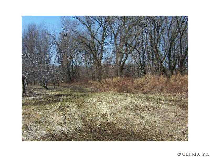 7501 Slocum Road Ontario, NY 14519 - Photo 1 of 1 Other