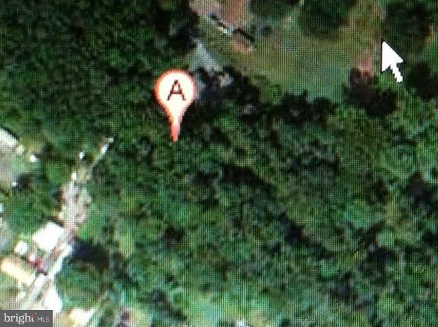 935 Winding Road Edgewater, MD 21037 - Photo 21 of 21 Wooded Lot