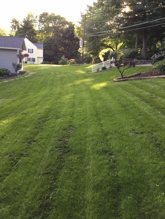 234 Stonebridge Road Wayland, MA 01778 - Photo 19 of 20 a backyard of a house with lots of green space