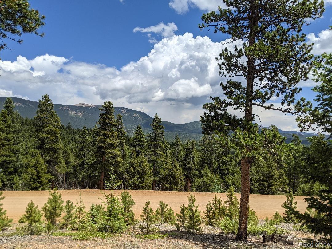 1186 Royal Ridge Drive Bailey, CO 80421 - Photo 1 of 18 Gallery Image 1