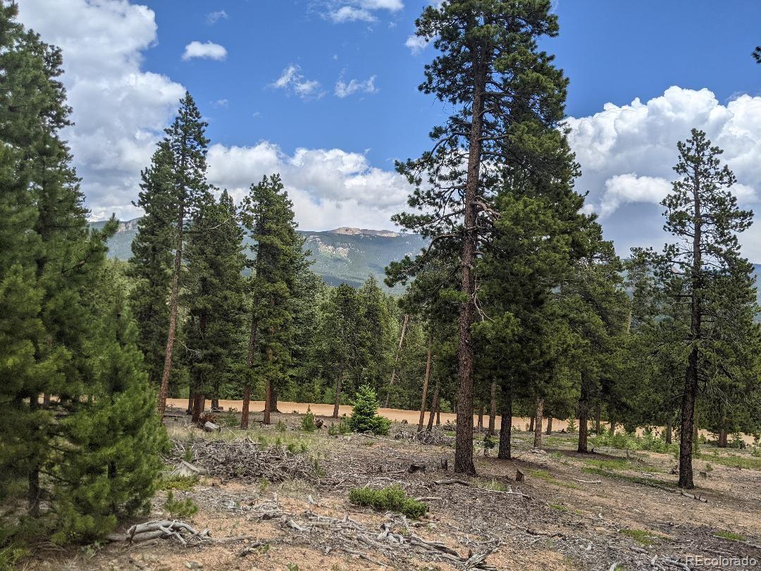 1186 Royal Ridge Drive Bailey, CO 80421 - Photo 11 of 18 Gallery Image 11