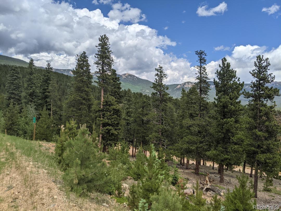 1186 Royal Ridge Drive Bailey, CO 80421 - Photo 14 of 18 Gallery Image 14
