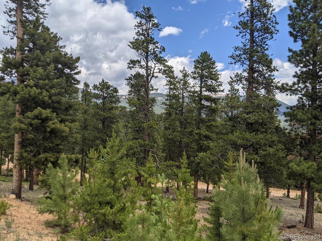 1186 Royal Ridge Drive Bailey, CO 80421 - Photo 17 of 18 Gallery Image 17