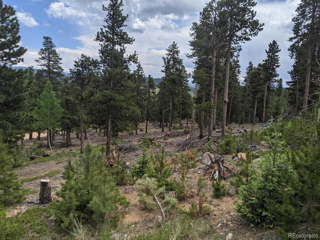 1186 Royal Ridge Drive Bailey, CO 80421 - Photo 4 of 18 Gallery Image 4