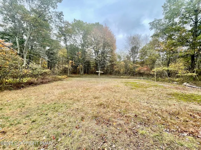 a view of a yard with trees