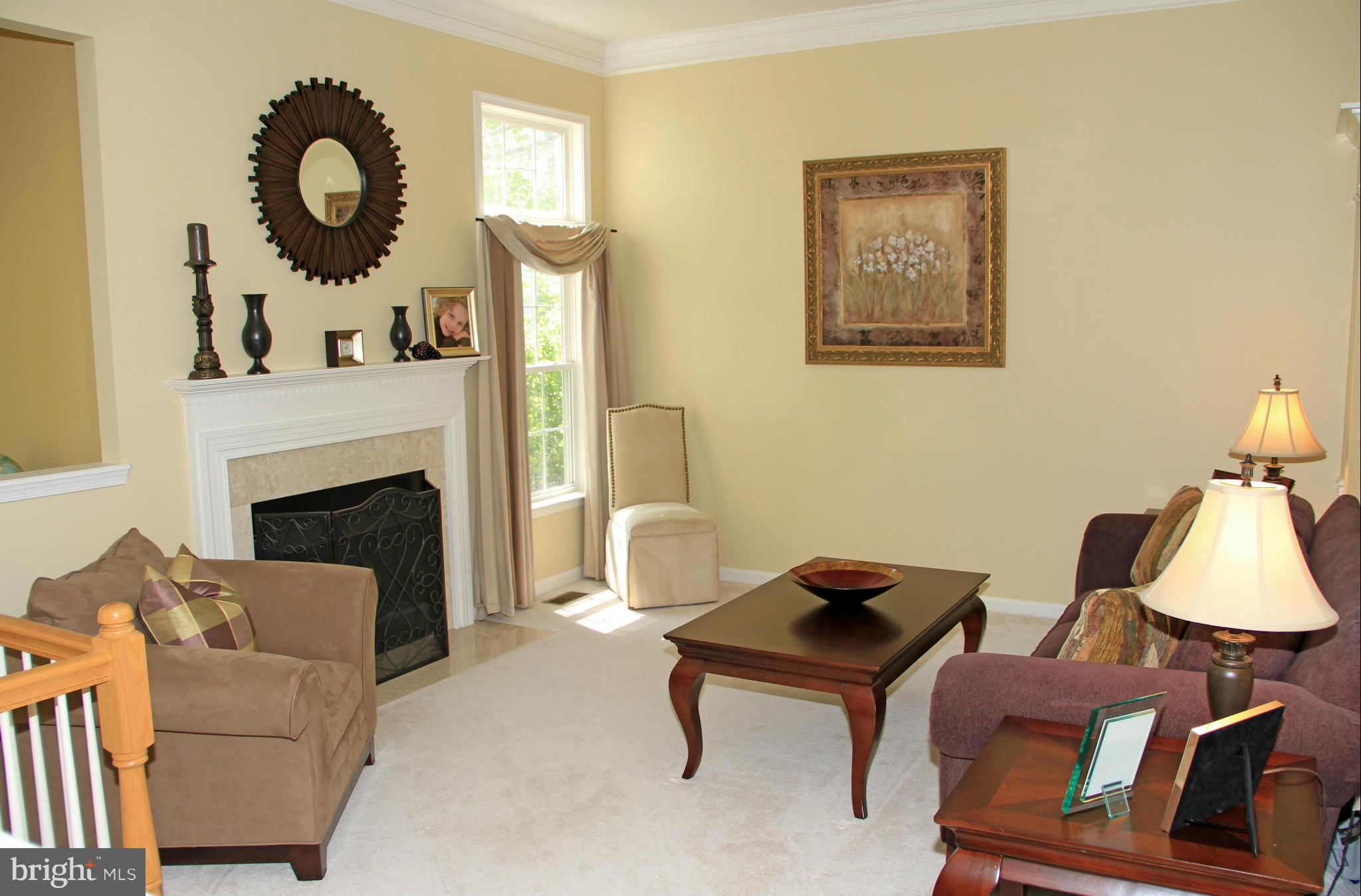 47551 Rippling Drive Sterling, VA 20165 - Photo 5 of 30 Living Room with Gas Fireplace