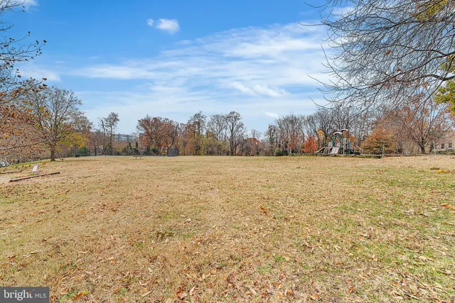 a view of a yard with trees in the background