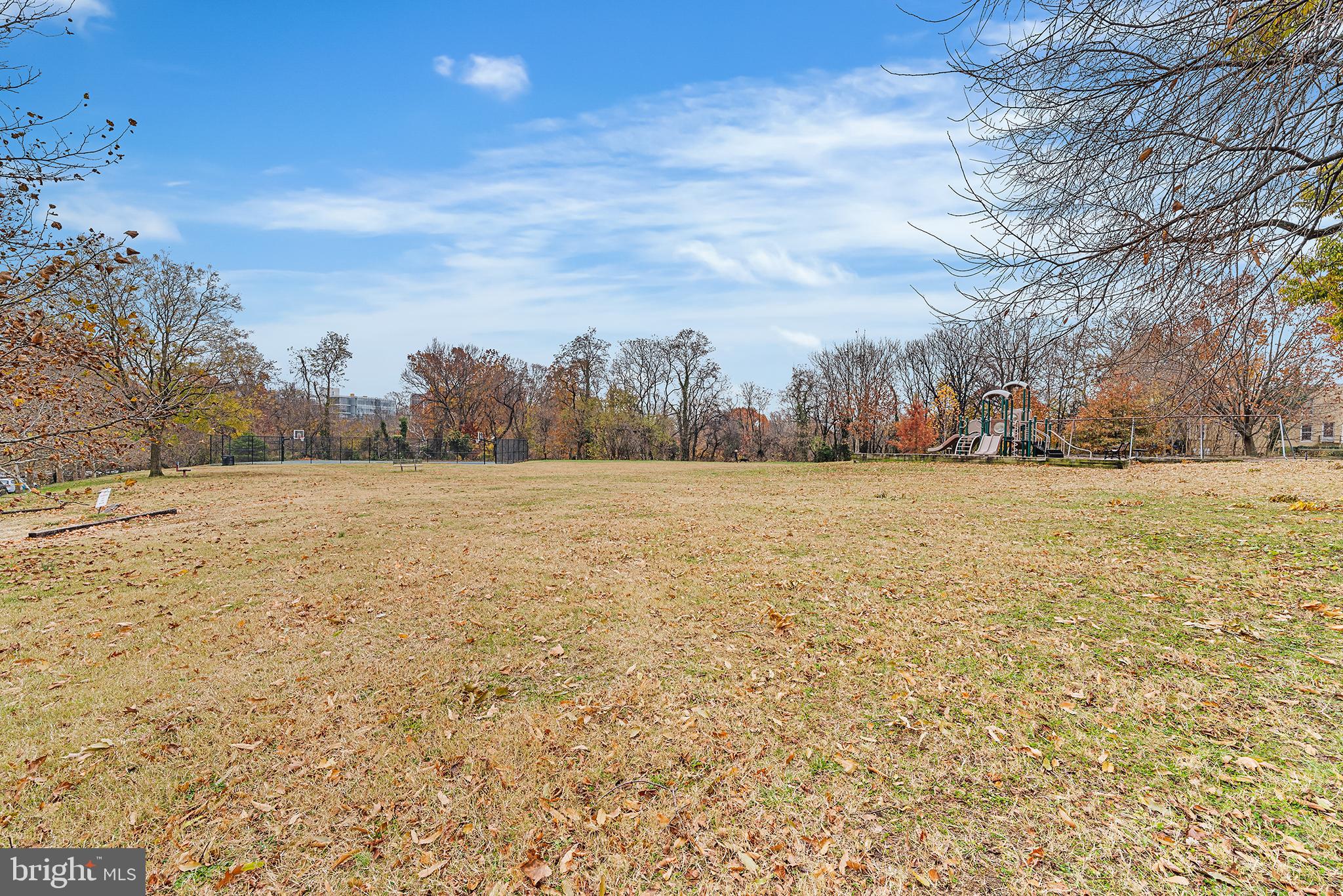 621 West 33rd Street Baltimore, MD 21211 - Photo 23 of 27 a view of a yard with trees in the background