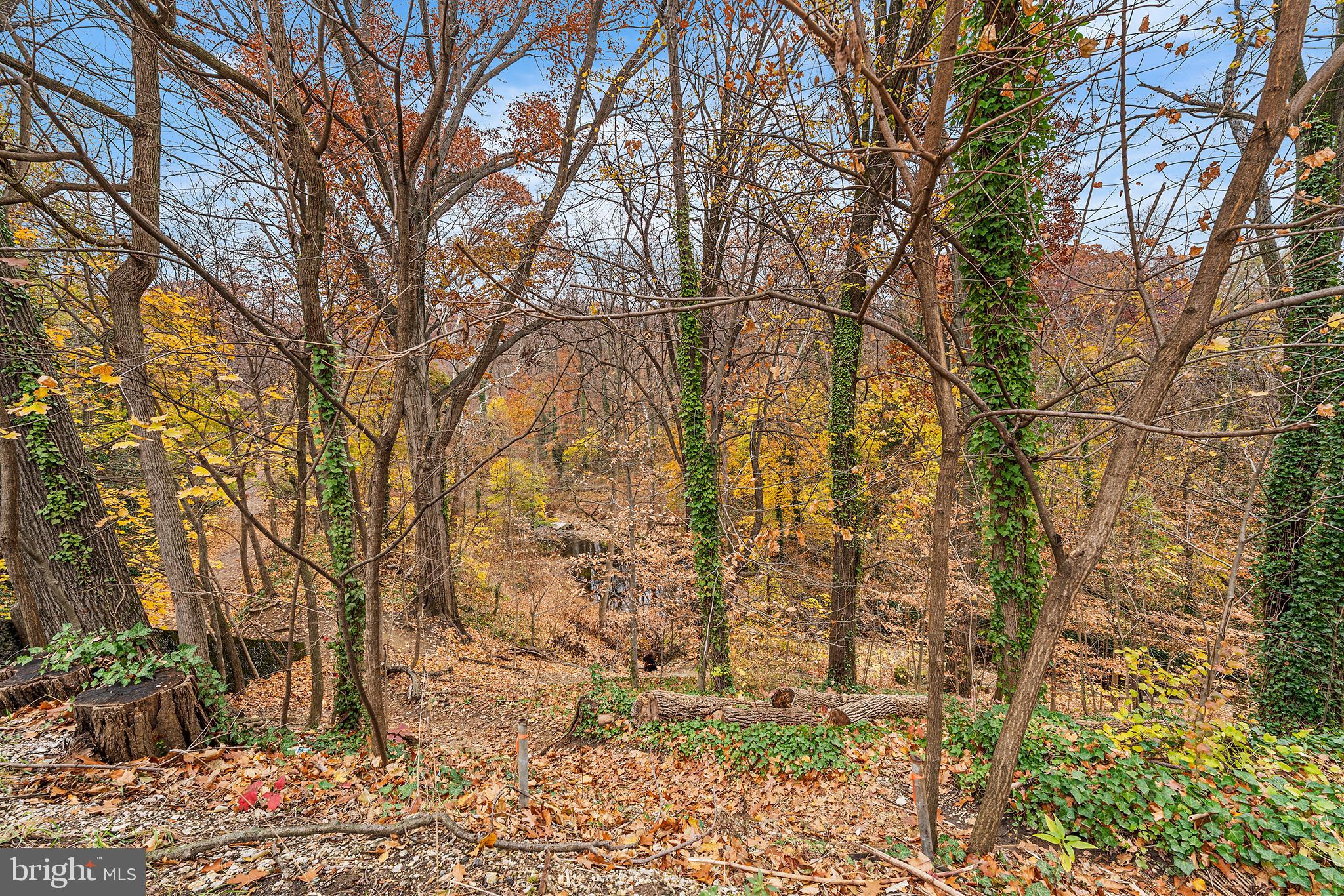 621 West 33rd Street Baltimore, MD 21211 - Photo 25 of 27 a backyard of a house with lots of green space