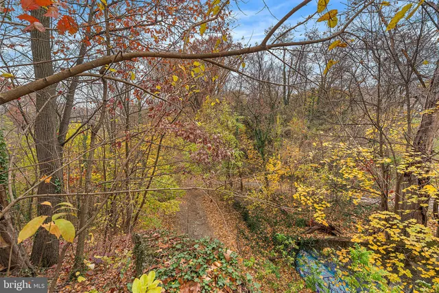 a view of a yard with wooden fence