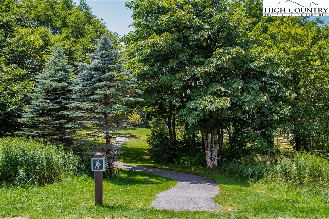 301 Pinnacle Inn Road, Unit 3126 Beech Mountain, NC 28604 - Photo 42 of 48 Gallery Image 42