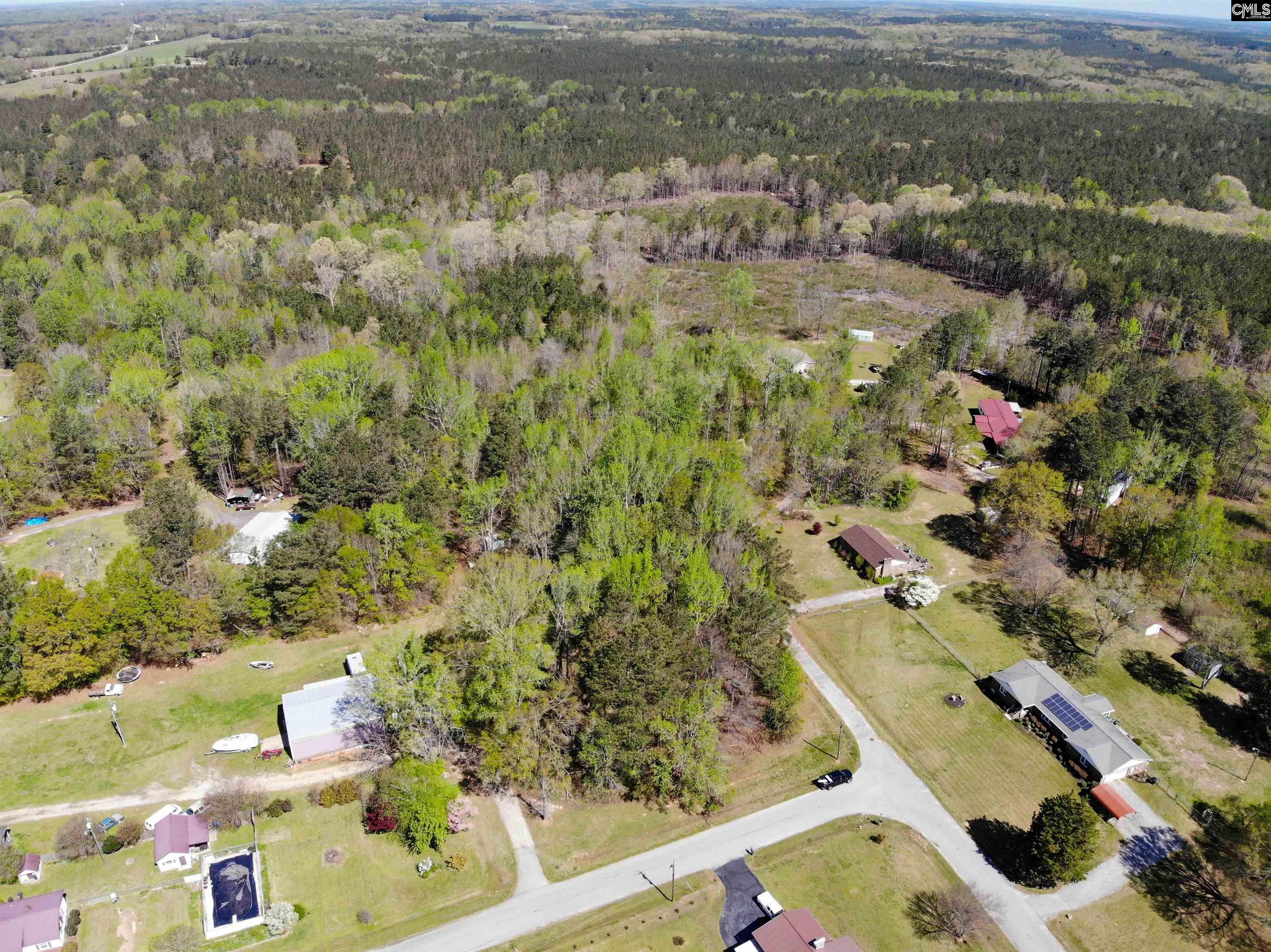 Tbd James Road Joanna, SC 29351 - Photo 16 of 82