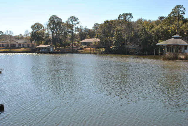 9445 County Road 97 Elberta, AL 36530 - Photo 11 of 31