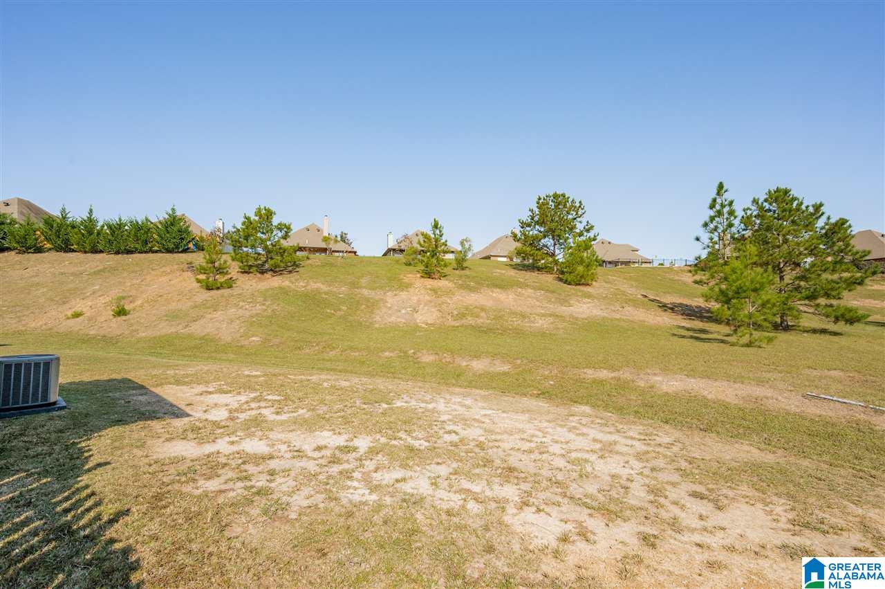 1034 Preston Place Chelsea, AL 35043 - Photo 33 of 33