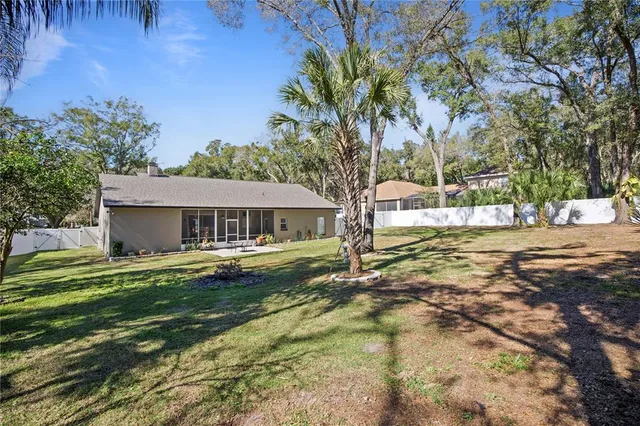 a view of backyard with green space