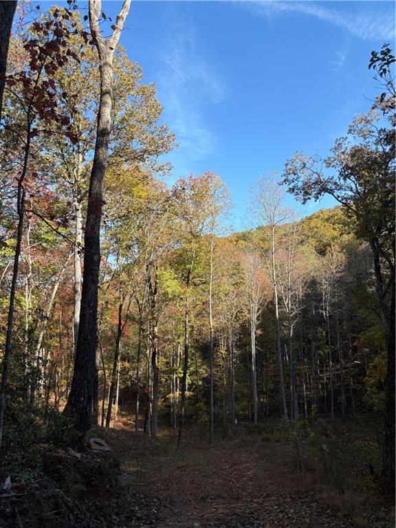 1600 Sunset Trail Talking Rock, GA 30175 - Photo 3 of 9