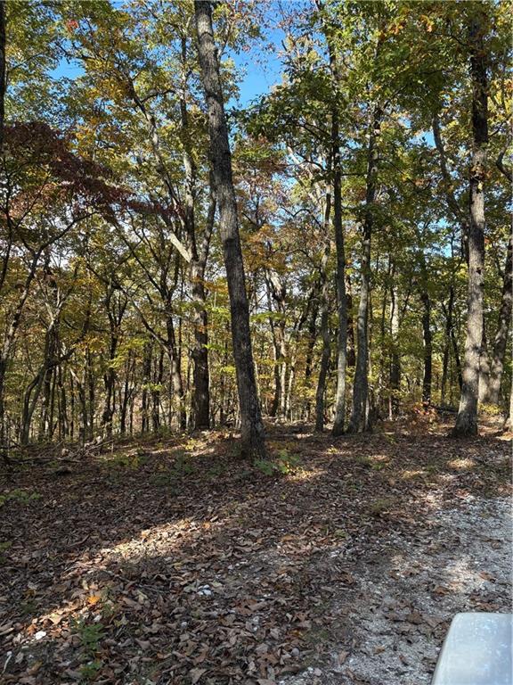 1600 Sunset Trail Talking Rock, GA 30175 - Photo 4 of 9