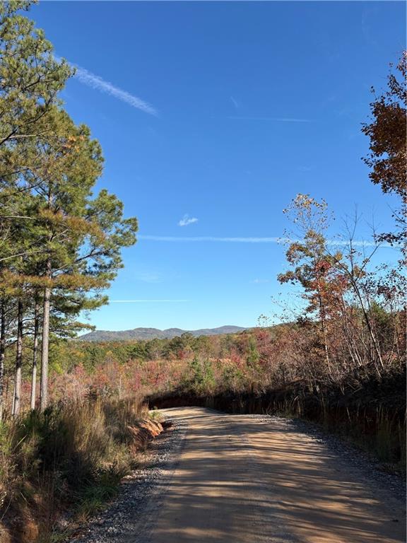 1600 Sunset Trail Talking Rock, GA 30175 - Photo 5 of 9